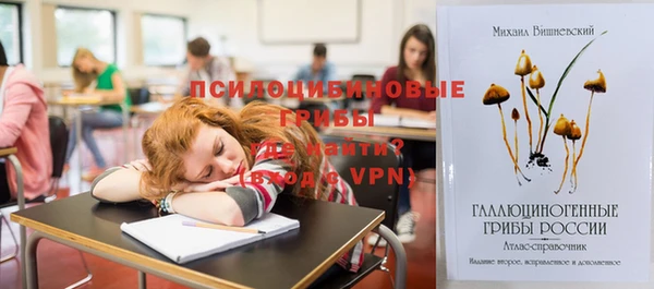а пвп мука Карталы