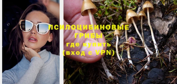 гидропоника Касимов
