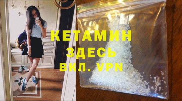 трава Карпинск