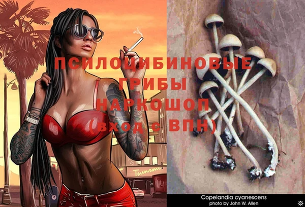 а пвп мука Карталы
