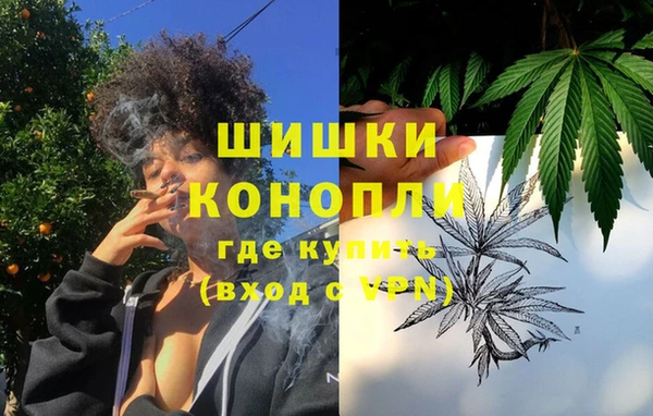 трава Карпинск