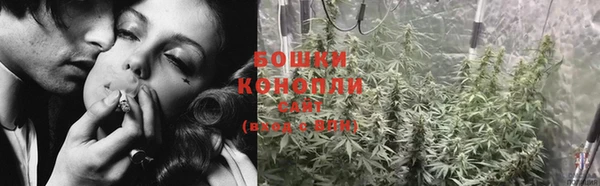 трава Карпинск