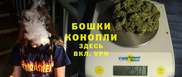 трава Карпинск